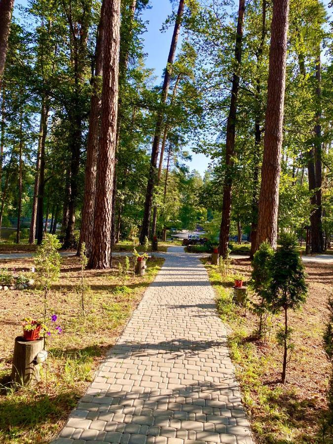 Resort Stariy Prud Pylypovychi Εξωτερικό φωτογραφία